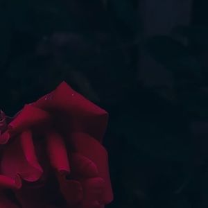 Meet your Posher, Kamila